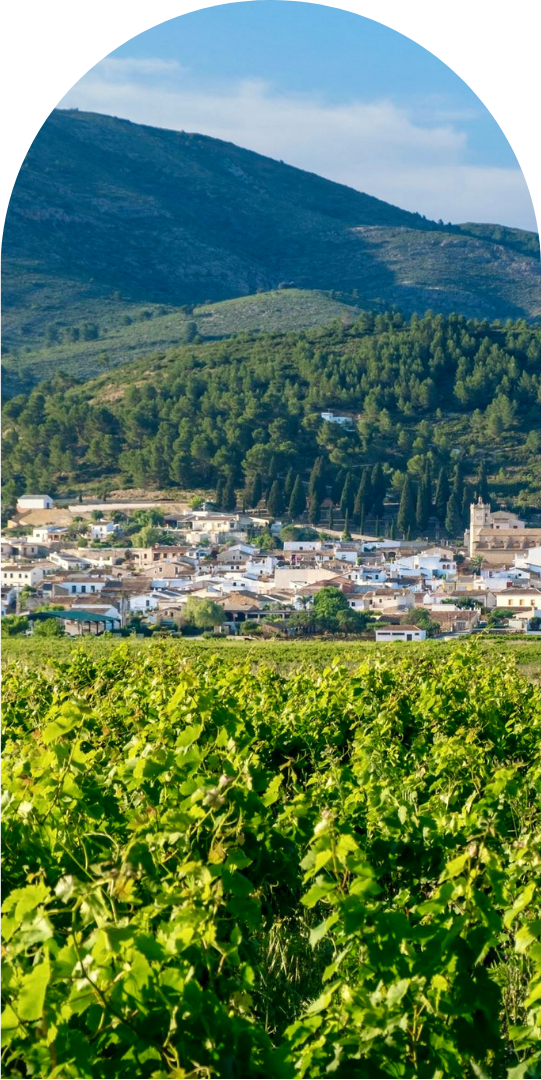 Mallorca region